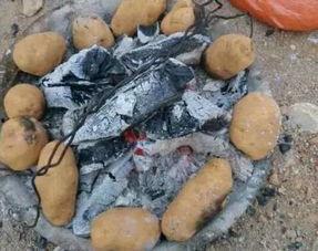 童年田野吃瓜,一段难忘的夏日回忆