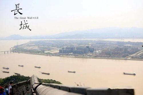 网红减肥果冻吃了想吐,揭秘其副作用与真实效果