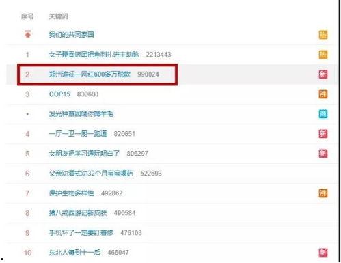 外国网红需要纳税吗吗,纳税义务解析