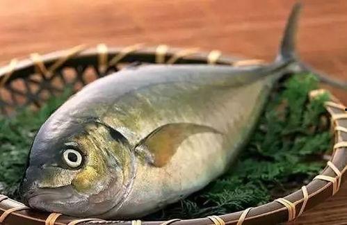 吃瓜上山吃鱼,探寻乡村生活的美好时光