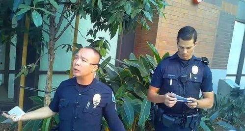 警察吃瓜路人搞笑视频,搞笑视频笑翻网友