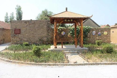 平邑双胞胎网红打卡,萌动双生花，共绘家乡美