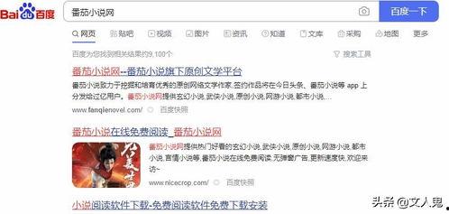 头条看小说怎么搜索作者,作者搜索指南，轻松找到心仪作家