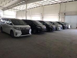 埃尔法车主陈女士头条,揭秘豪华MPV的日常驾驭与生活品味