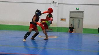 明星武术套路,揭秘明星们的经典武术套路演绎