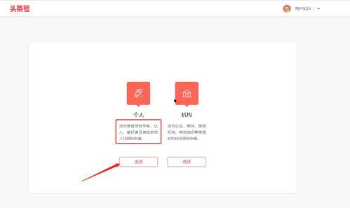 电脑上头条怎么申请认证,轻松开启官方认证之旅