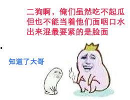 斗图吃瓜群,网络社交新风尚