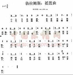 伤心的酒吧网红版歌词,伤心旋律中的情感共鸣