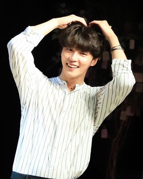 鲜肉明星图片,颜值与才华并存，魅力四溢！