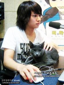 韩国明星的猫,揭秘明星们的爱猫日常