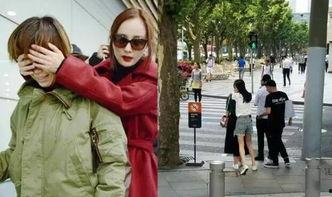 外国明星经纪关系,外国明星经纪关系揭秘