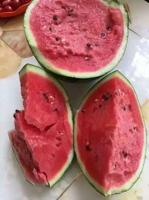 泗水县吃瓜事件,一场网络热议背后的真相与反思