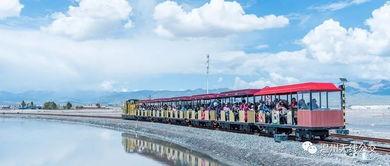 3月温州网红打卡景点,探寻温都新风尚的打卡胜地