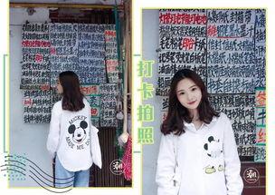 网红记忆,揭秘网络红人的记忆秘诀与生活智慧