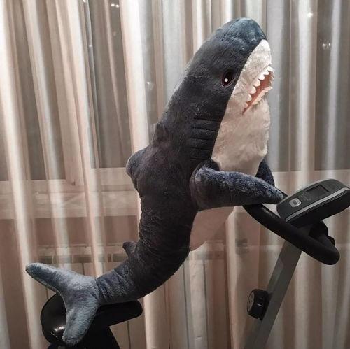 网红小鲨鱼昵称,深海奇遇记