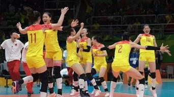 郎平爆料视频全集下载安装,揭秘排球传奇背后的故事