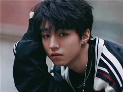 王俊凯明星排行榜,人气飙升引领潮流