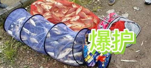 阿亮垂钓记头条号