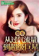 明星的疯狂小说,揭秘明星背后的疯狂爱情故事