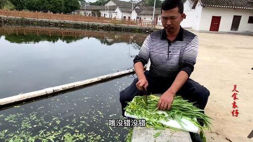 广东农村网红,田间地头的新星，直播带货的乡村振兴使者