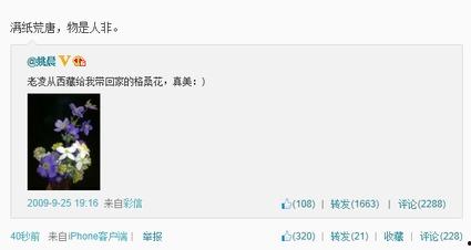 圈内消息爆料网站有哪些,盘点热门爆料平台一览