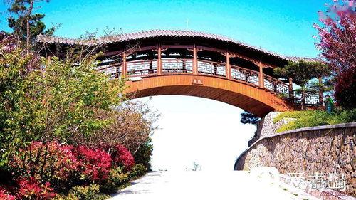 瑶湖网红打卡地拍照,网红打卡地摄影攻略