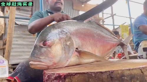 明星切鱼刀法视频,一招轻松解锁烹饪新境界