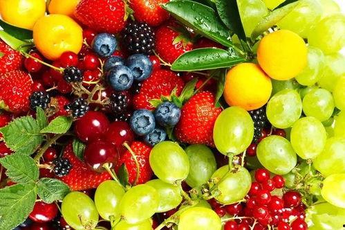 南岸无公害水果网红基地,绿色健康，品味田园风光