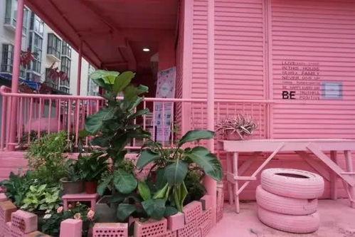 南宁哪里有网红植物店,绿植美学新地标