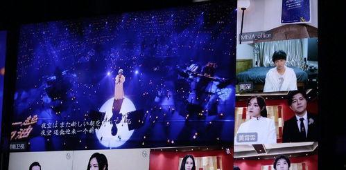 石家庄歌手爆料事件视频,揭秘娱乐圈幕后真相