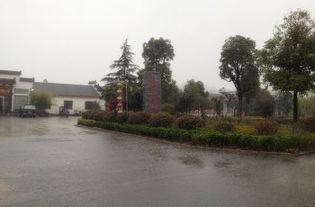 寿县宾阳大道新闻头条,重大工程突破，助力城市发展提速